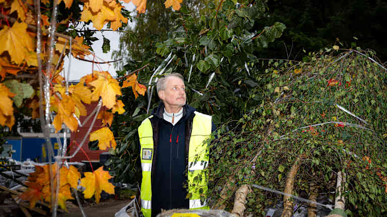 Mies seisoo pensaiden ja puiden keskellä.