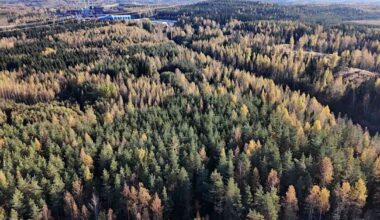 Datayritys hakee jälleen lupaa rakentaa Riihimäen Haapahuhdan lähteikköön – selvitys paljasti lisää suojeltuja lähteitä | Kanta-Häme