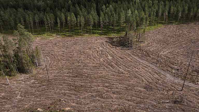 Hakkuuaukeaa ilmakuvassa.