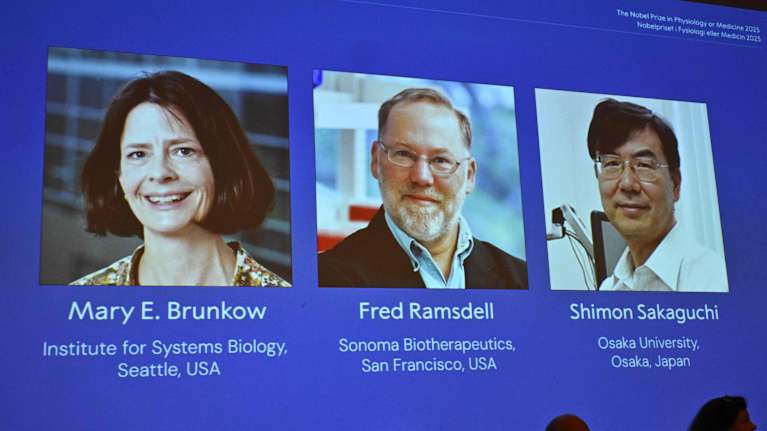 Tuoreiden nobelistien kuvat heijastettiin Karoliinisen instituutin valkokankaalle.