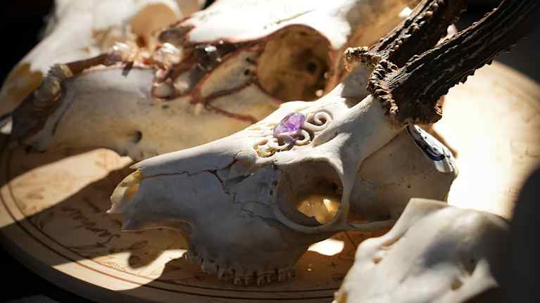 Pakanafestarit 11.10.2025.