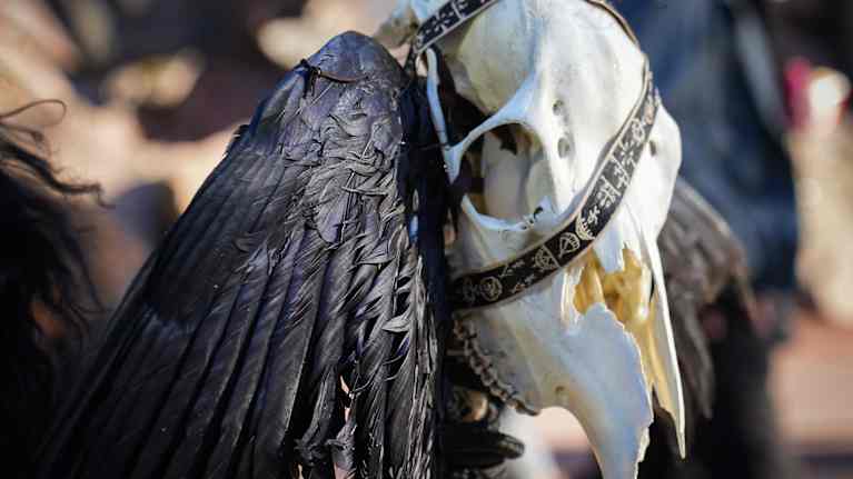 Pakanafestarit 11.10.2025.