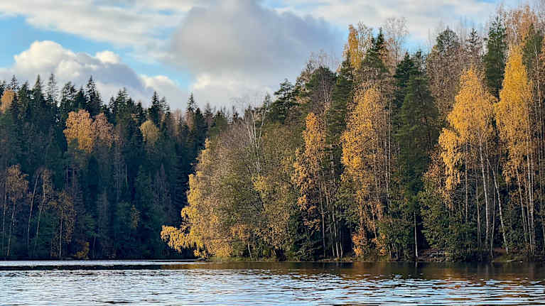Syksyistä maisemaa Hervannan Suolijärvellä Tampereella. 