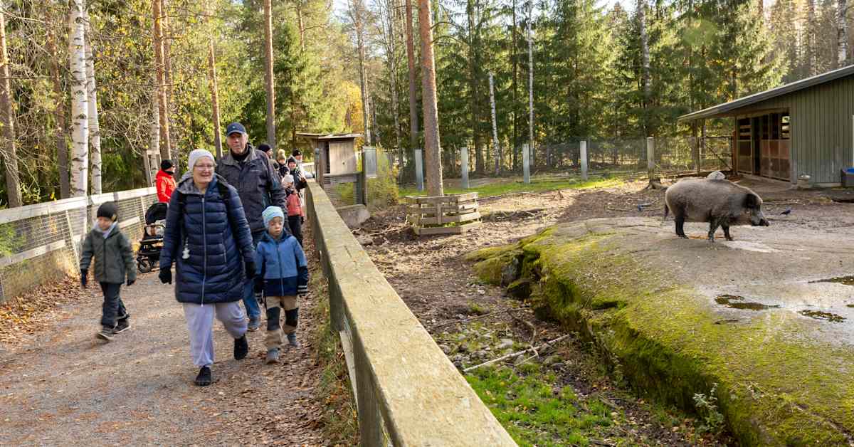 Matkailuyritysten jatkosta neuvotellaan kiihkeästi Ähtärissä – aika uuden yrittäjän löytämiseen käy vähiin | Etelä-Pohjanmaa