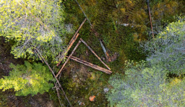 Hossassa on meneillään harvinainen projekti: kansallis­puistoon levitetään puuta raakkutuho­alueelta | Kotimaa