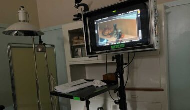 Tanska pärjää, Suomi ei – tässä on maan menestysresepti Oscareihin | Ulkomaat