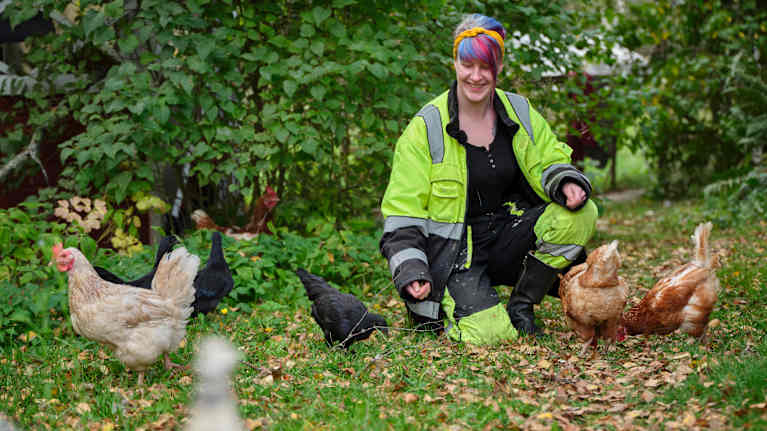 Nainen ruokkii kanoja maatalon pihalla.