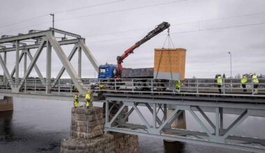 Uhanalaiset linnut häädetään Rovaniemellä sillan alta omaan huoneistohotelliin – ”Pirun hyvä paikka”, sanoo nikkaroija | Kotimaa
