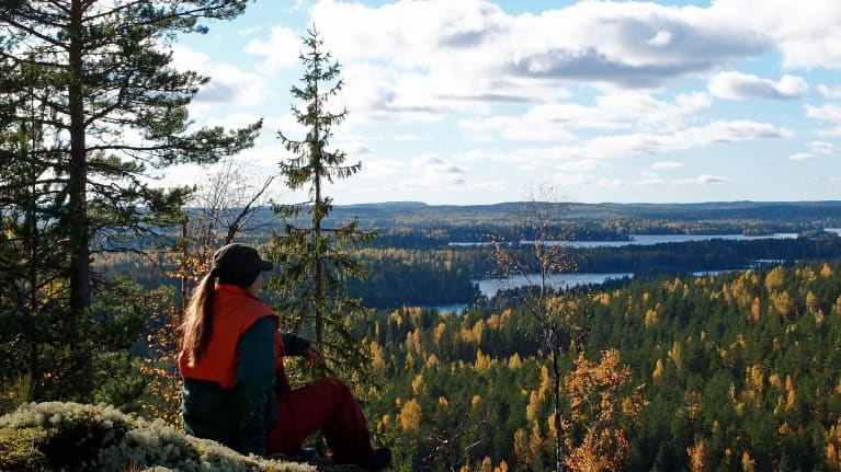 Retkeilijä katsoo järvimaisemaa Kalajanvuorelta Etelä-Konneveden kansallispuistossa.