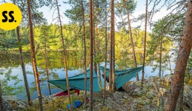 Kuopion kaupunki perustaa uusia luonnonsuojelualueita | Savo