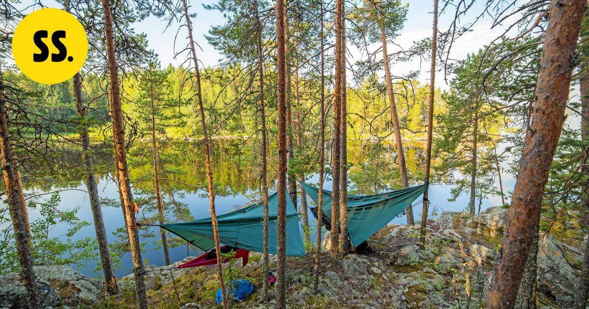 Kuopion kaupunki perustaa uusia luonnonsuojelualueita | Savo