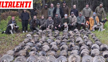 Somessa raivostuttiin – ”Mielestäni jo halventamista”