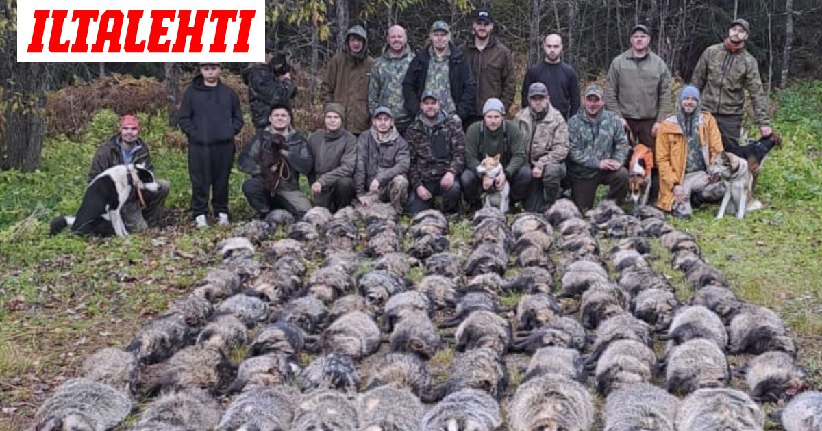 Somessa raivostuttiin – ”Mielestäni jo halventamista”