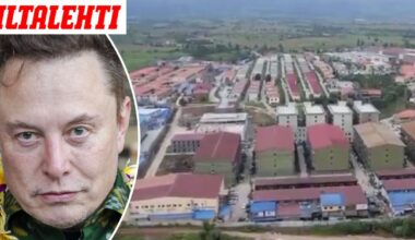 Jättimäinen huijauskeskus paljastui – Elon Muskin osuutta selvitetään