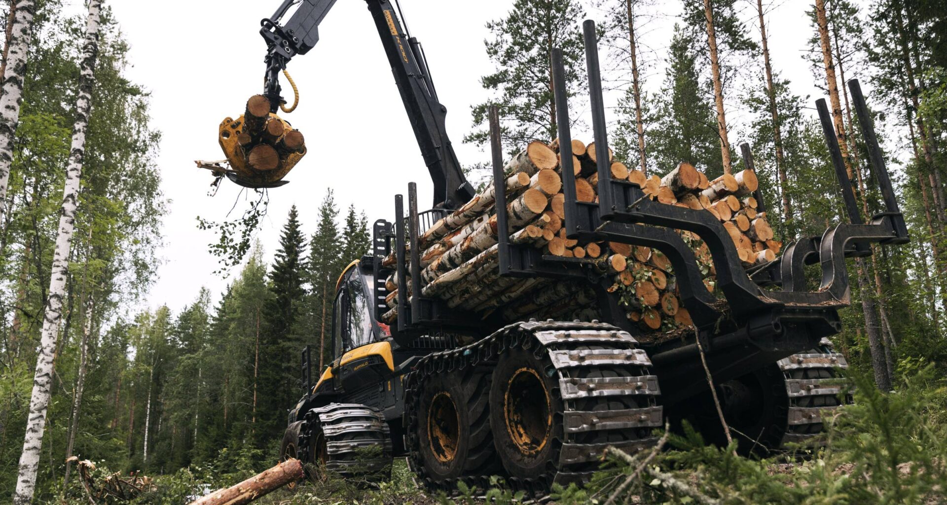 Orpon velkahallitus kasvattaa tietoisesti luontovelkaa – KU
