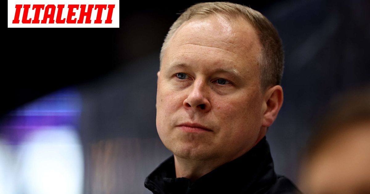 Ilvekselle kammottava uutinen - Iltalehti