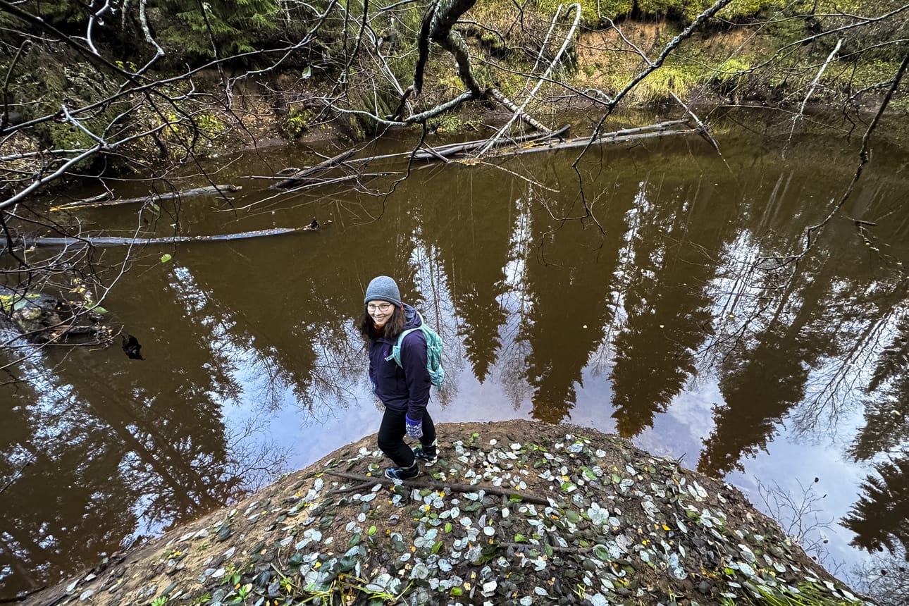 Veden virtaus heilahtelee ajassa. Se kerää ja kasaa materiaalia eri aikoina eri tahtiin. Henriikka Salminen Muhosjoen rannalla.