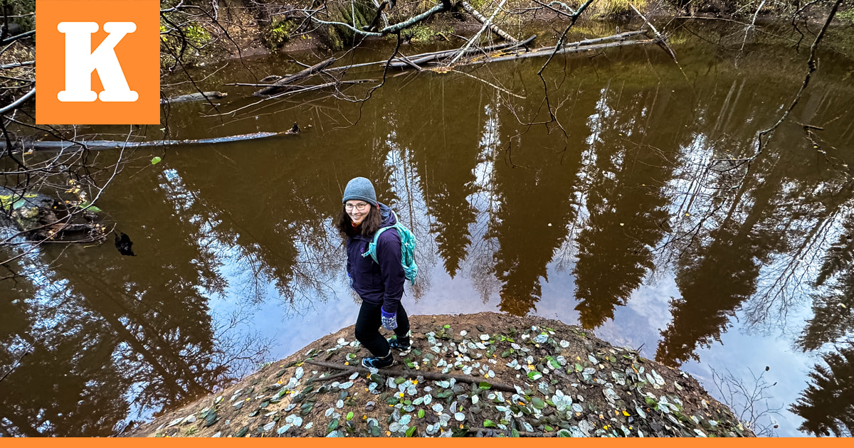 Muhoksella on erikoinen paikka, joka on täynnä luonnon muovaamia makkaroita – Asiantuntija on uomien keskellä täpinöissään
