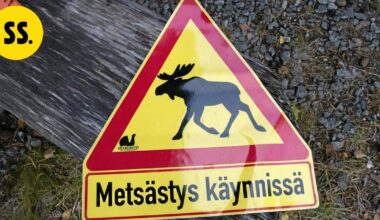 Hirvimetsällä ollut mies kuoli vahingonlaukaukseen – Poliisi tutkii onnettomuutta | Savo