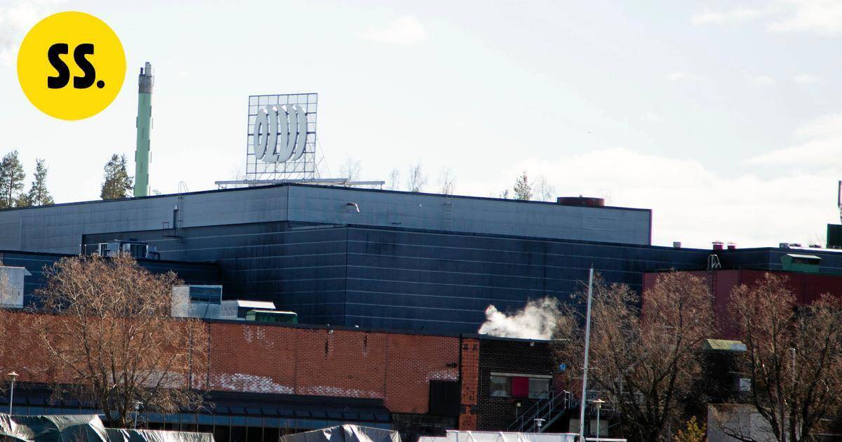 Olvin tulos tippui lähes kymmenen prosenttia | Savo