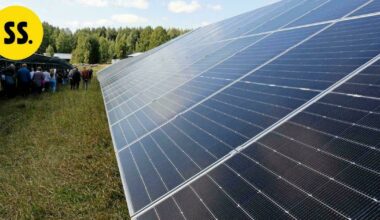 Savon Voima mukana kolmen uuden aurinkopuiston rakentamisessa – "Tavoitteenamme saada investointeja myös Savoon" | Savo