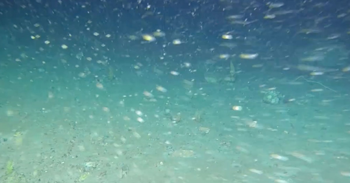 Vedenalainen robotti teki hämmästyttävän löydön