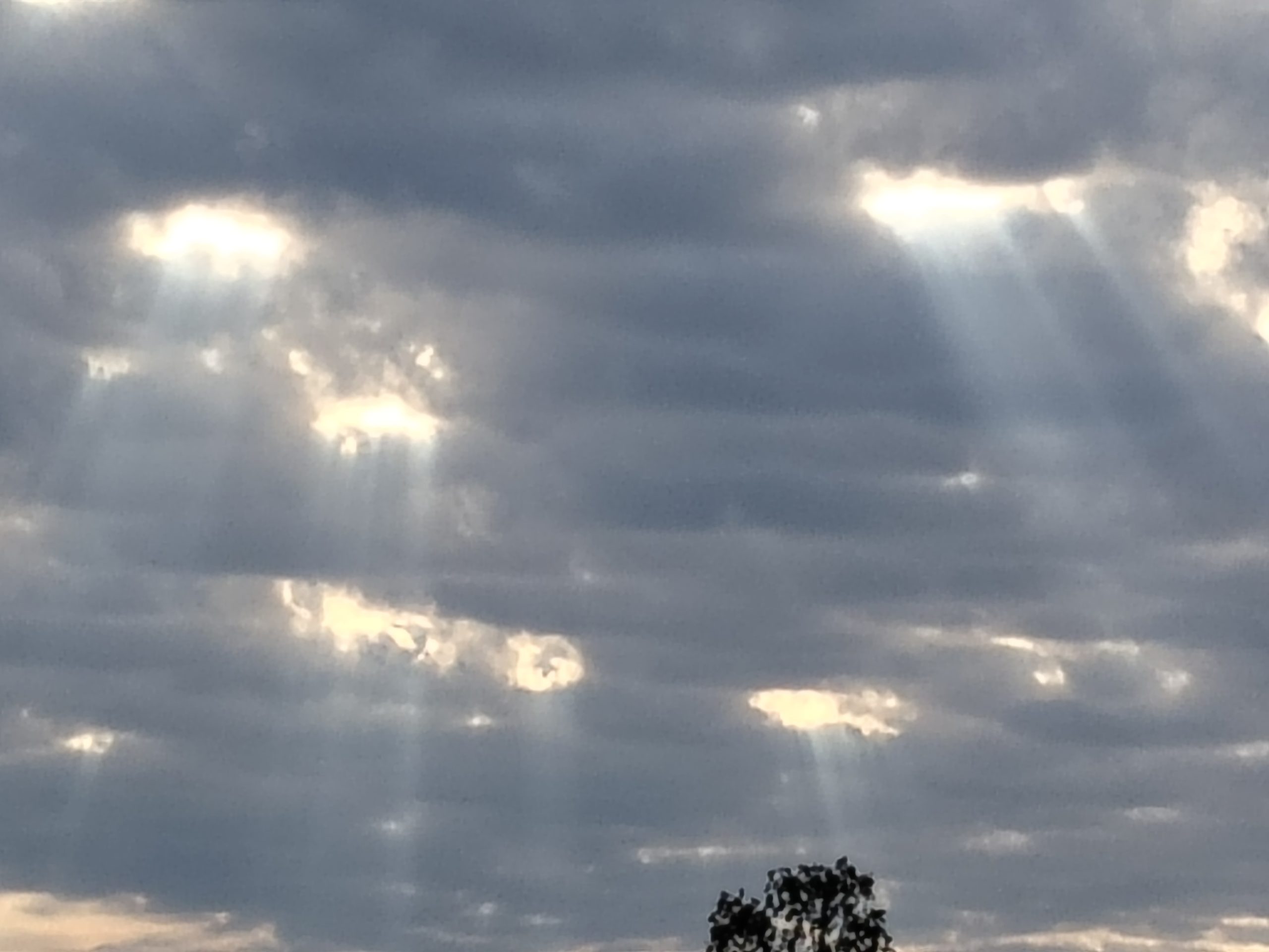 Pääkamera, 8x digitaalinen zoom.