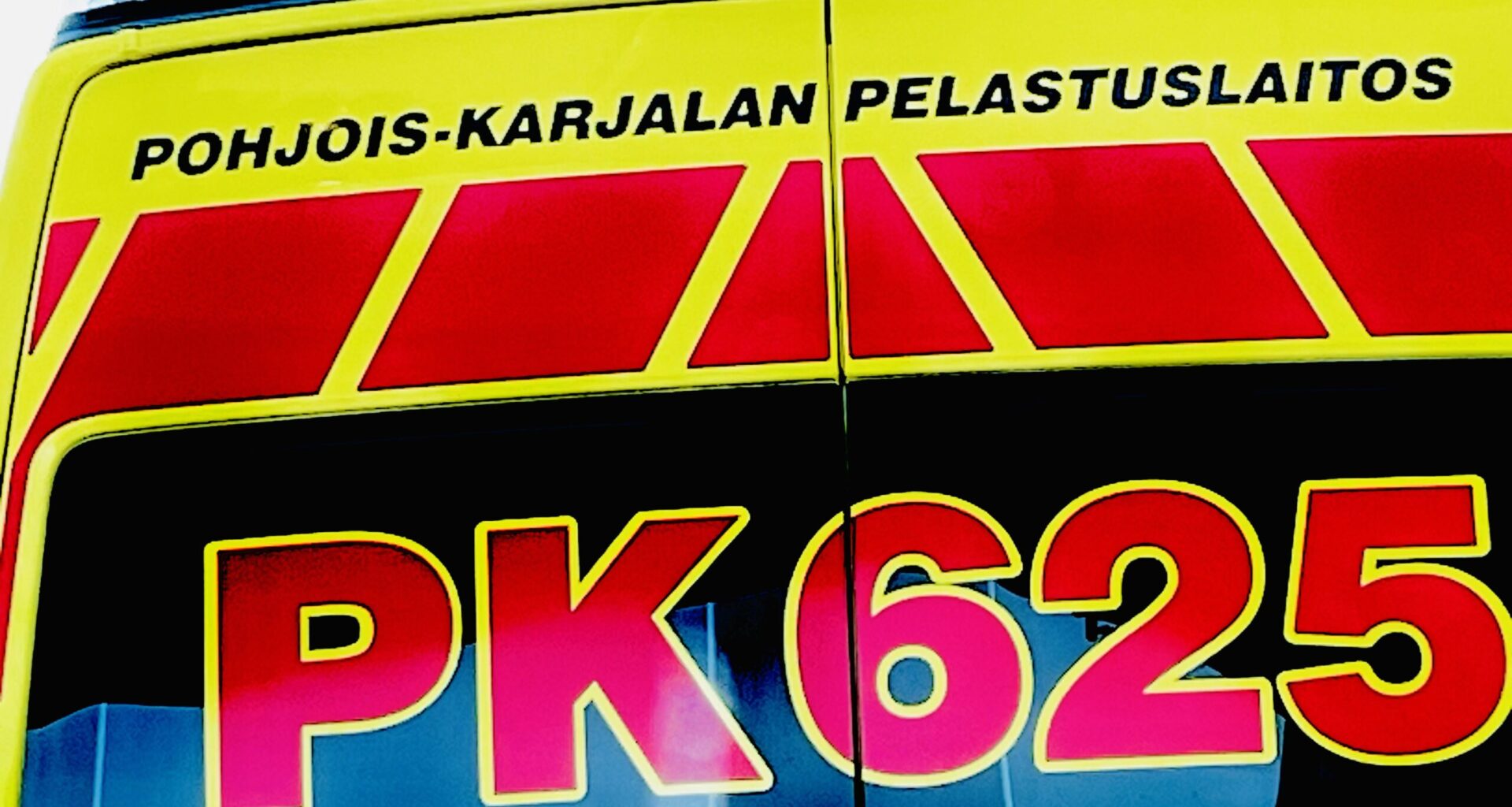 Harvinainen karhukolari Viinijärvellä – Karhu jouduttiin lopettamaan