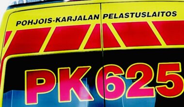 Harvinainen karhukolari Viinijärvellä – Karhu jouduttiin lopettamaan