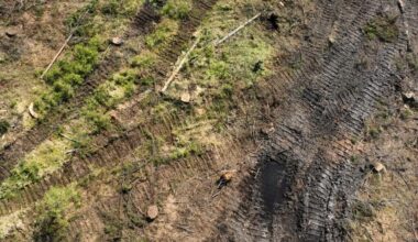 Luonnonvarojen kulutus on Suomessa henkeä kohden Euroopan suurinta – "Uhkaa kansalaistemme hyvinvointia"