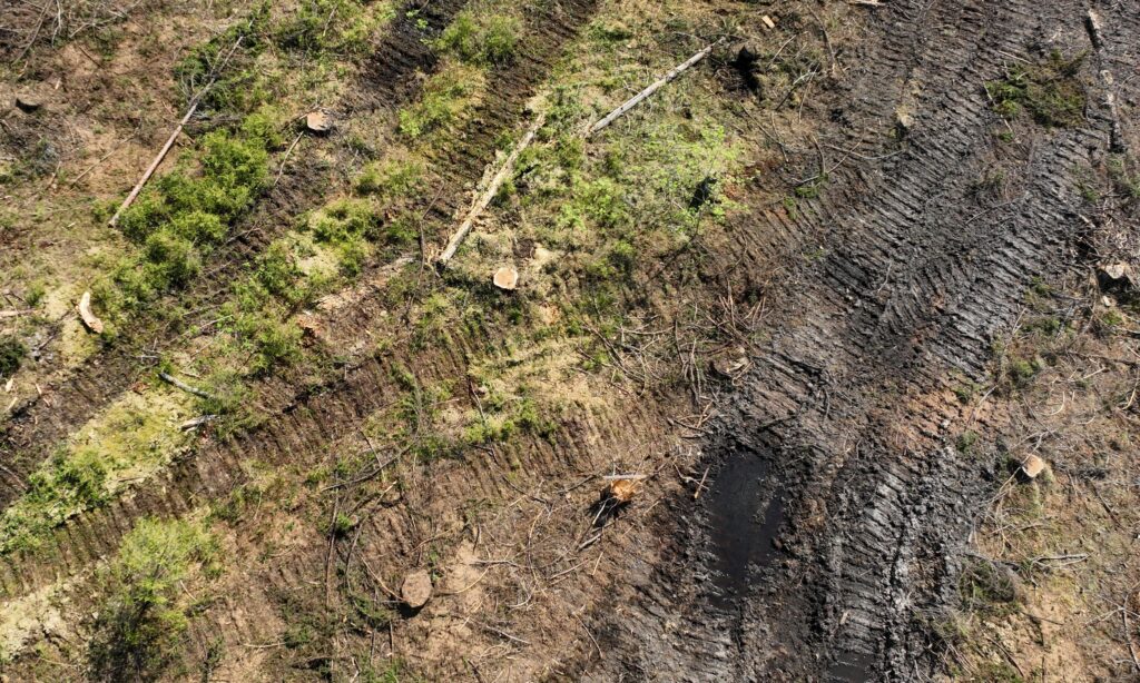 Luonnonvarojen kulutus on Suomessa henkeä kohden Euroopan suurinta – "Uhkaa kansalaistemme hyvinvointia"