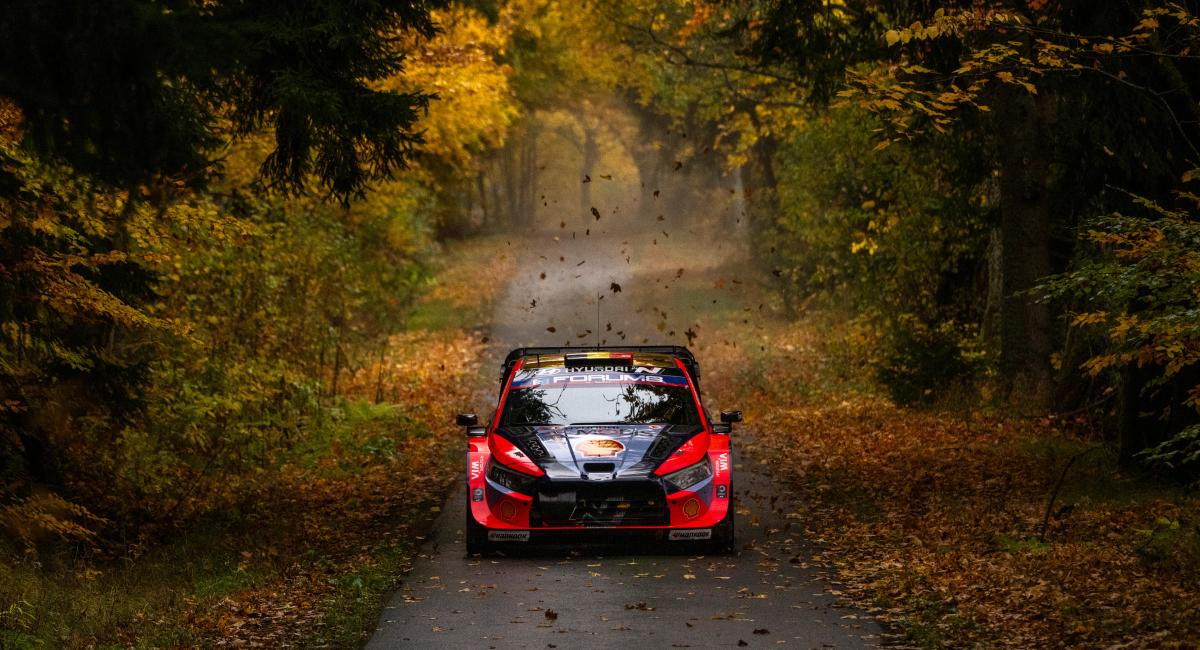 MM-rallituomio: Tällaista nöyryytystä ei ole hetkeen nähty – "Pystyykö tästä suosta nousemaan?"