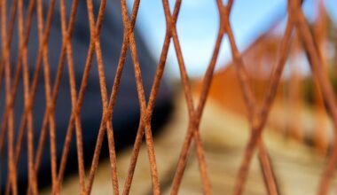 Vankien terveystutkimus palkittiin kansainvälisellä tutkimuspalkinnolla | Rikosseuraamuslaitos (RISE)