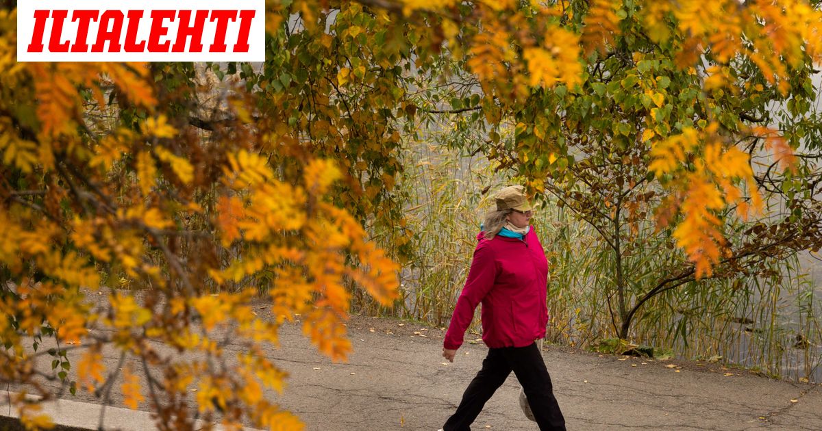 Nyt putosi pakkaselle – Syksyn ennätys uusiksi - Iltalehti