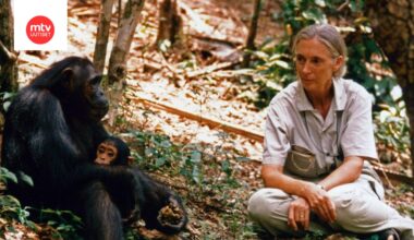 Jane Goodall on kuollut | MTV Uutiset