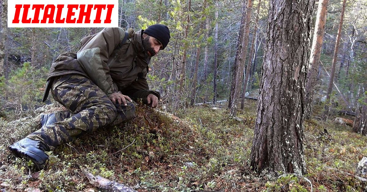 Voittaja selvisi 35 päivää erämaassa – Näin kävi Alone Suomi -kilpailijoille: ”Romahdin”