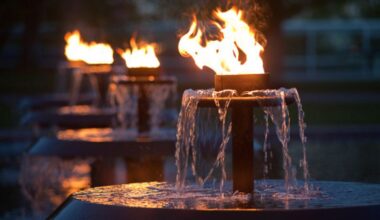 Uudistunut humanistinen aikakausmedia Soihtu on julkaistu – ensimmäinen teemanumero pohtii ihmisen ja luonnon suhdetta