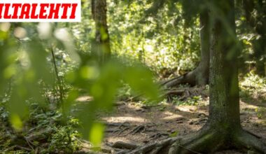 Keskuspuistoon asennettiin äänityslaitteita ja varoituskylttejä