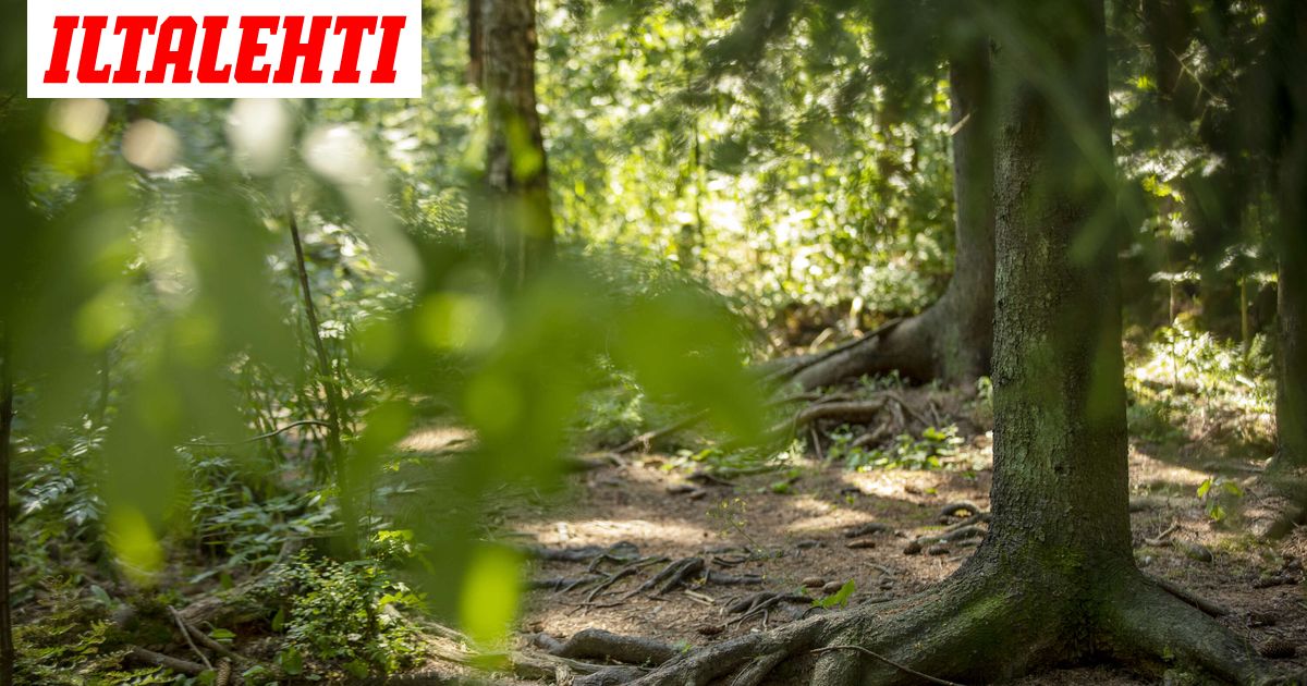 Keskuspuistoon asennettiin äänityslaitteita ja varoituskylttejä