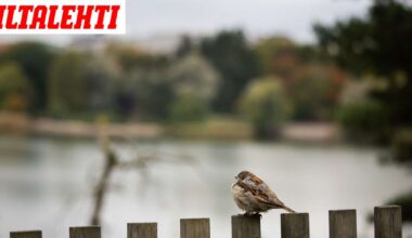 Talvi uhkaa iskeä syyslomalla - Iltalehti