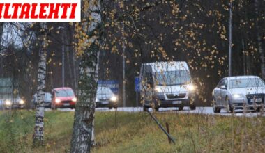 Varo kiimaisia eläimiä - Iltalehti