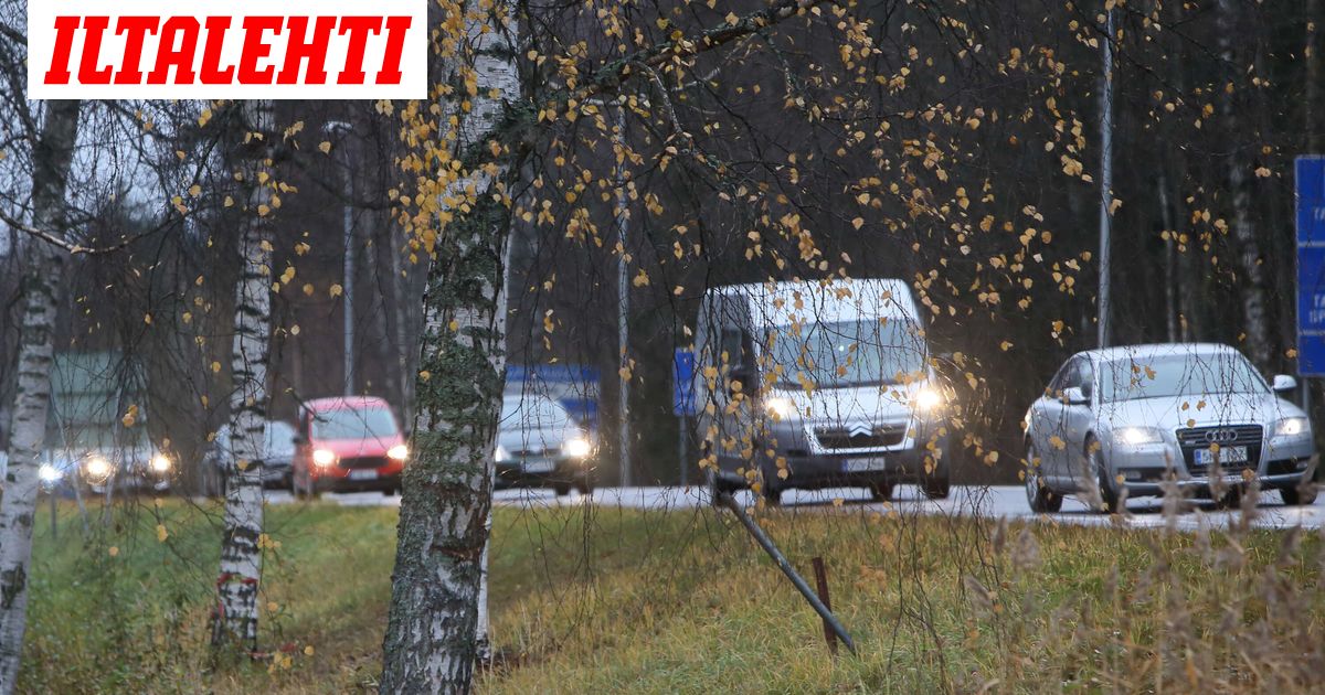 Varo kiimaisia eläimiä - Iltalehti