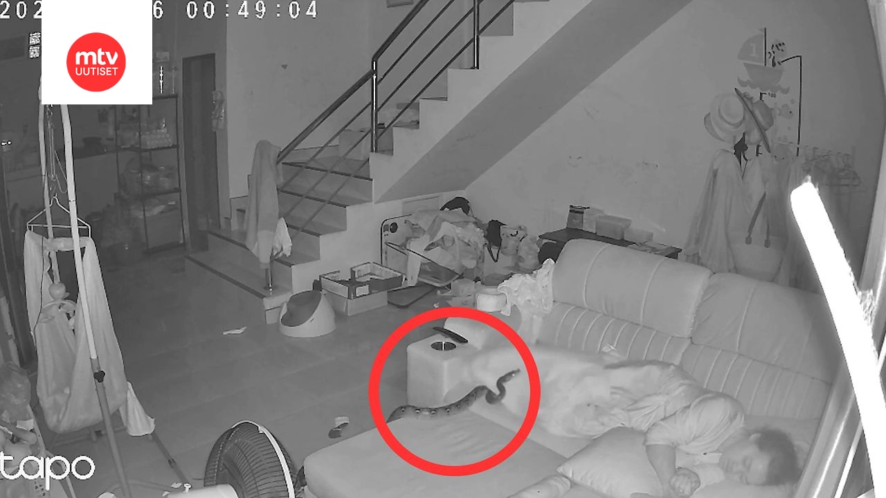 Nainen luuli päällään ollutta käärmettä kissaksi