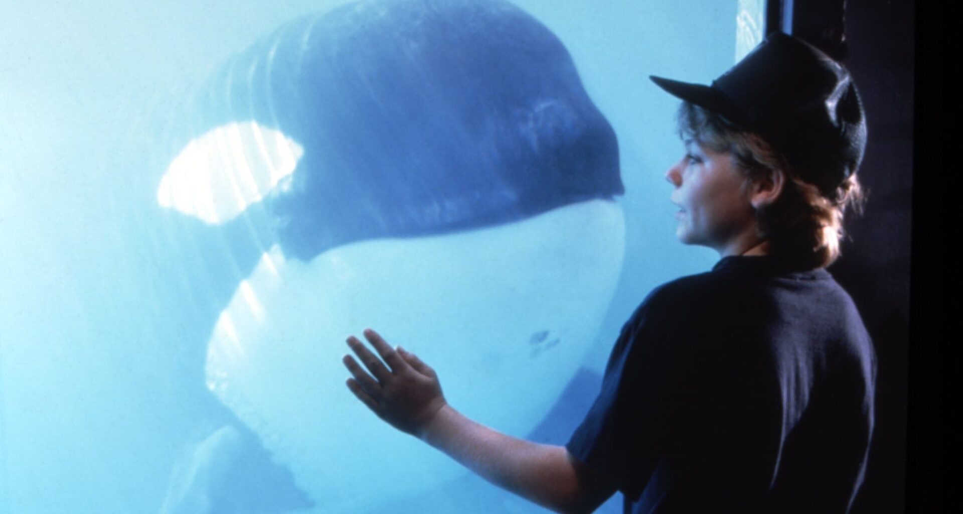 Illalla tv:ssä: Elokuvan sankarivalaan tarina päättyi traagisesti tosielämässä