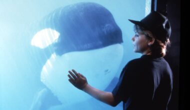 Illalla tv:ssä: Elokuvan sankarivalaan tarina päättyi traagisesti tosielämässä