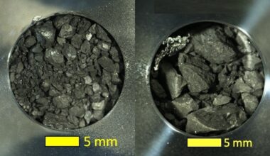Bakteerit levittäytyivät asteroidinäytteeseen sterilisoinnista huolimatta