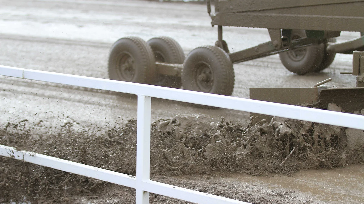 Rovaniemen ravit peruttiin – "Ensi sijassa pitää ajatella hevosten hyvinvointia ja turvallisuutta"