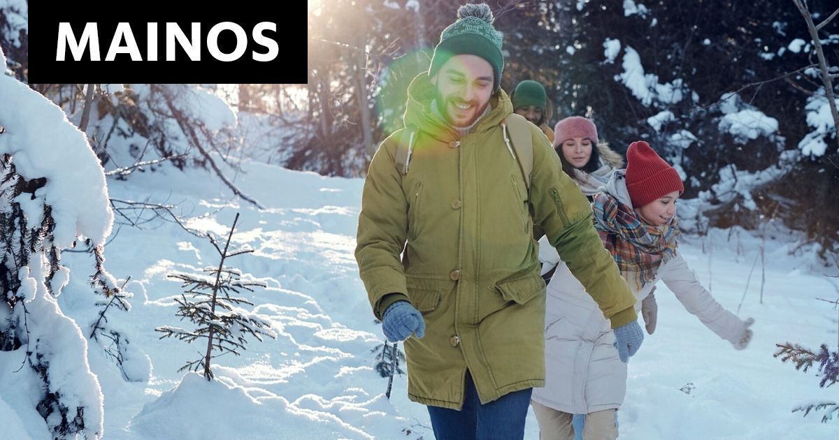 [MAINOS: WWF] Mihin lahjoitusrahat oikein menevät? Näin suomalaisten euroilla suojellaan luontoa