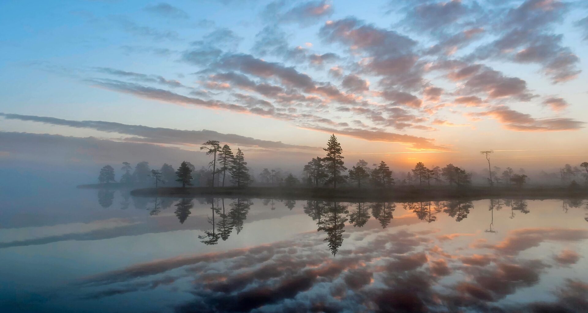 Kauhanevan kansallispuisto on lintujen valtakunta | Luonto