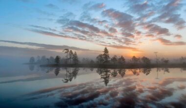 Kauhanevan kansallispuisto on lintujen valtakunta | Luonto